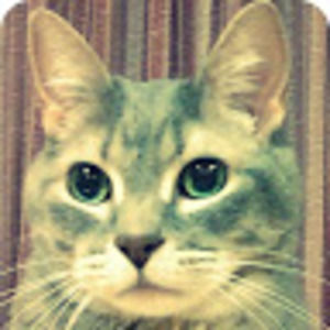 Meet your Posher, Shaz